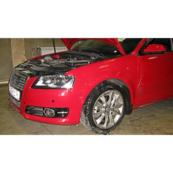 AUDI A3 - антигравийная защита